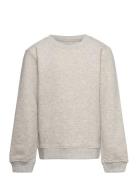 Lars Kids "It's Organic" Crew Sweat Grey Kronstadt