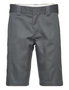 Slim Fit Short Rec Grey Dickies