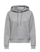 Onplounge Hood Ls Swt Noos Grey Only Play