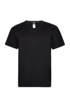 Dovre T-Shirts V-Neck Organic Black Dovre
