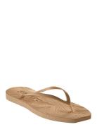 Tapered Flip Flop Brown SLEEPERS