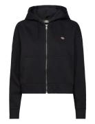 Oakport Zip Hoodie Black Dickies