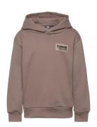 Hmldare Hoodie Brown Hummel