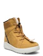 Urban Snowboarder Brown ECCO