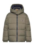 Puffer Jacket Khaki Timberland