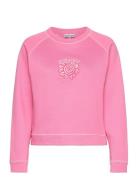 Isoli Raglan Solid Sweatshirt Pink Ganni