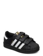 Superstar Cf C Black Adidas Originals