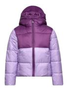 Hooded Jacket Purple Champion