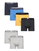 6-Pack Underwear - Gots/Vegan Patterned Knowledge Cotton Apparel