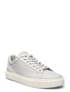 Low Top Lace Up Archive Stripe Grey Calvin Klein