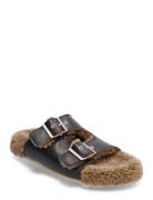 Sandals - Flat - Closed Toe - Op Brown ANGULUS