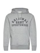 Original Graphic Hoodie Grey GANT