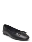 Blossoms Ballerina Black Steve Madden