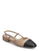 Belinda Ballerina Brown Steve Madden