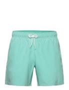 Hco. Guys Swim Green Hollister