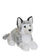 Husky Grey Teddykompaniet