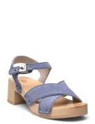 Sl Pescura Cate Suede Blue Scholl