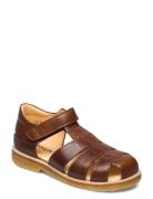 Sandals - Flat - Closed Toe - Brown ANGULUS