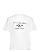 Anf Mens Graphics White Abercrombie & Fitch