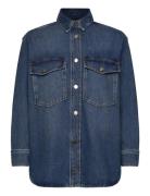 Alba Over D Shirt Blue AllSaints