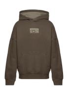 Cnvn Relaxed Flc Po Hoodie / Cnvn Relaxed Flc Po Hoodie Khaki Converse