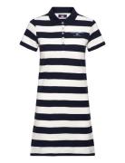 Kate Striped Reg Kn Cot Vin W Navy VINSON