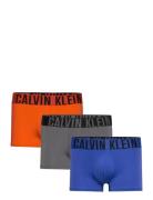 Trunk 3Pk Blue Calvin Klein