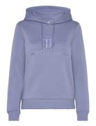 Reg Tonal Shield Hoodie Blue GANT