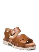 Orinoco Cross D Brown Clarks