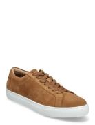 Theodor Suede Sneaker Brown Les Deux