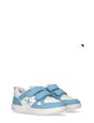 Low Cut Velcro Sneaker Blue Calvin Klein