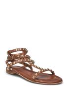 Sandals Brown Billi Bi