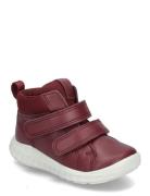 Sp.1 Lite Infant Burgundy ECCO