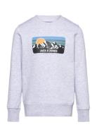 Jjpeak Sweat Crew Neck Jnr Grey Jack & J S