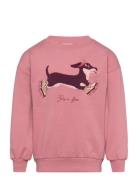 Sweatshirt Ls Pink Minymo