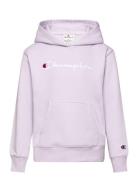 Hooded Sweatshirt Pink Champion