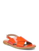 Sandals - Flat - Open Toe - Op  ANGULUS