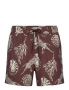 Moses Swim Shorts Aop 14702 Brown Samsøe Samsøe