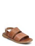 Sandals - Flat Brown ANGULUS