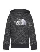 B Drew Peak P/O Hoodie Print Grey The North Face