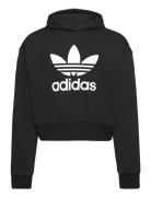 Cropped Hoodie Black Adidas Originals