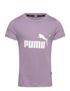 Ess Logo Tee G Purple PUMA