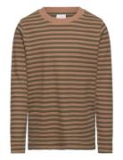 Tnlane L_S Rib Tee Brown The New