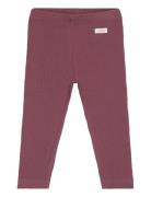 Leggings Rib Burgundy Fixoni