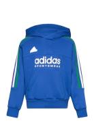 J Np Hoodie Blue Adidas Sportswear