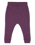 Pants, Aubergine Purple Smallstuff