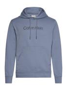 Raised Line Logo Hoodie Blue Calvin Klein