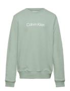 Inst. Logo Regular Cn Green Calvin Klein