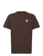 Regular Owl Chest Embroidery T-Shir Brown Knowledge Cotton Apparel