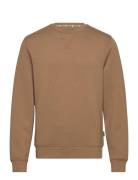 Sweatshirt - Pp Brown Blend